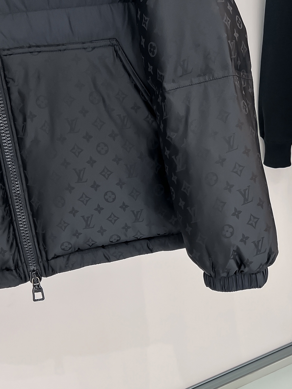 Louis Vuitton Down Jackets